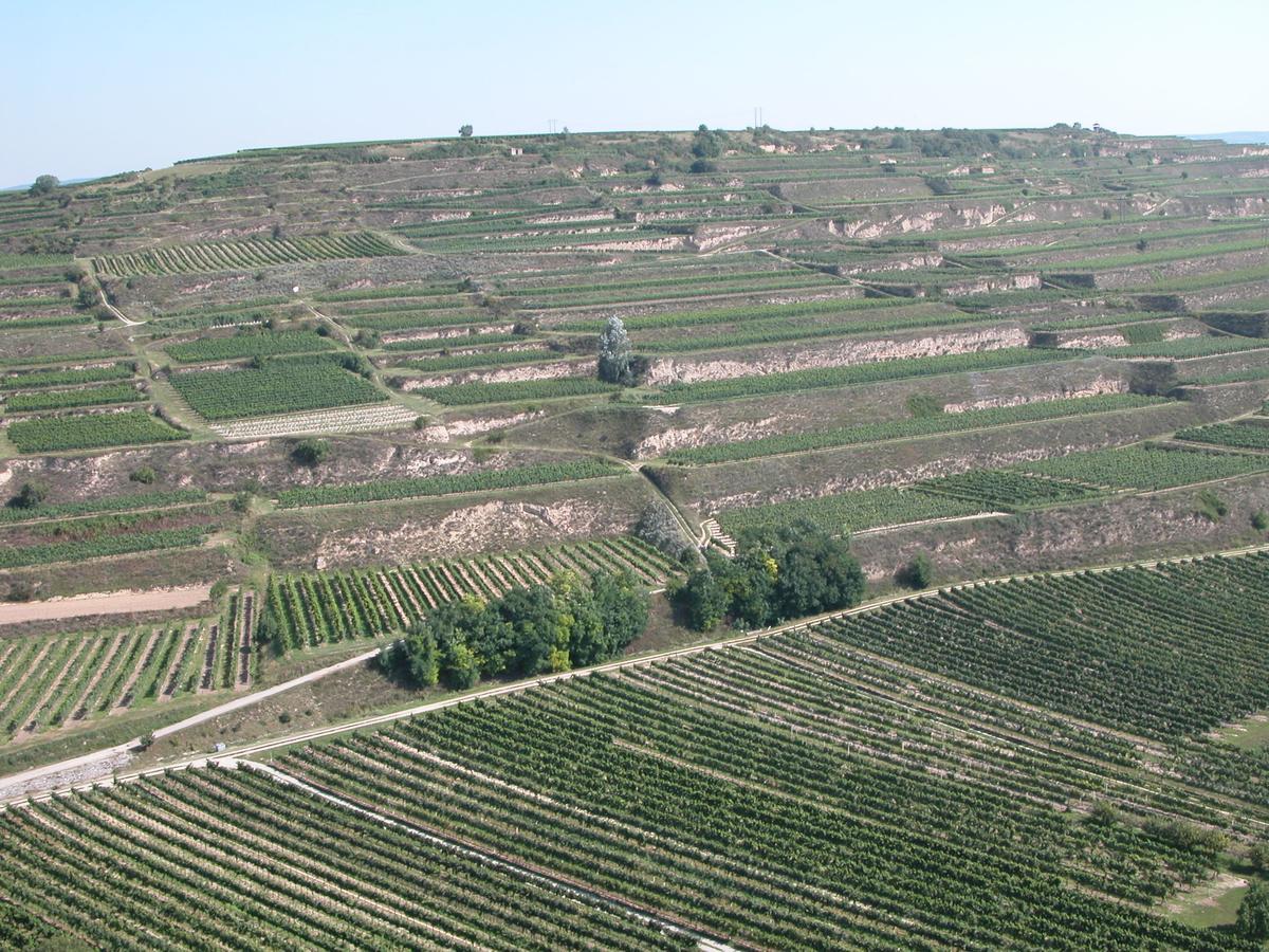 Weingut Und Gaestehaus Berger Gedersdorf Exteriér fotografie