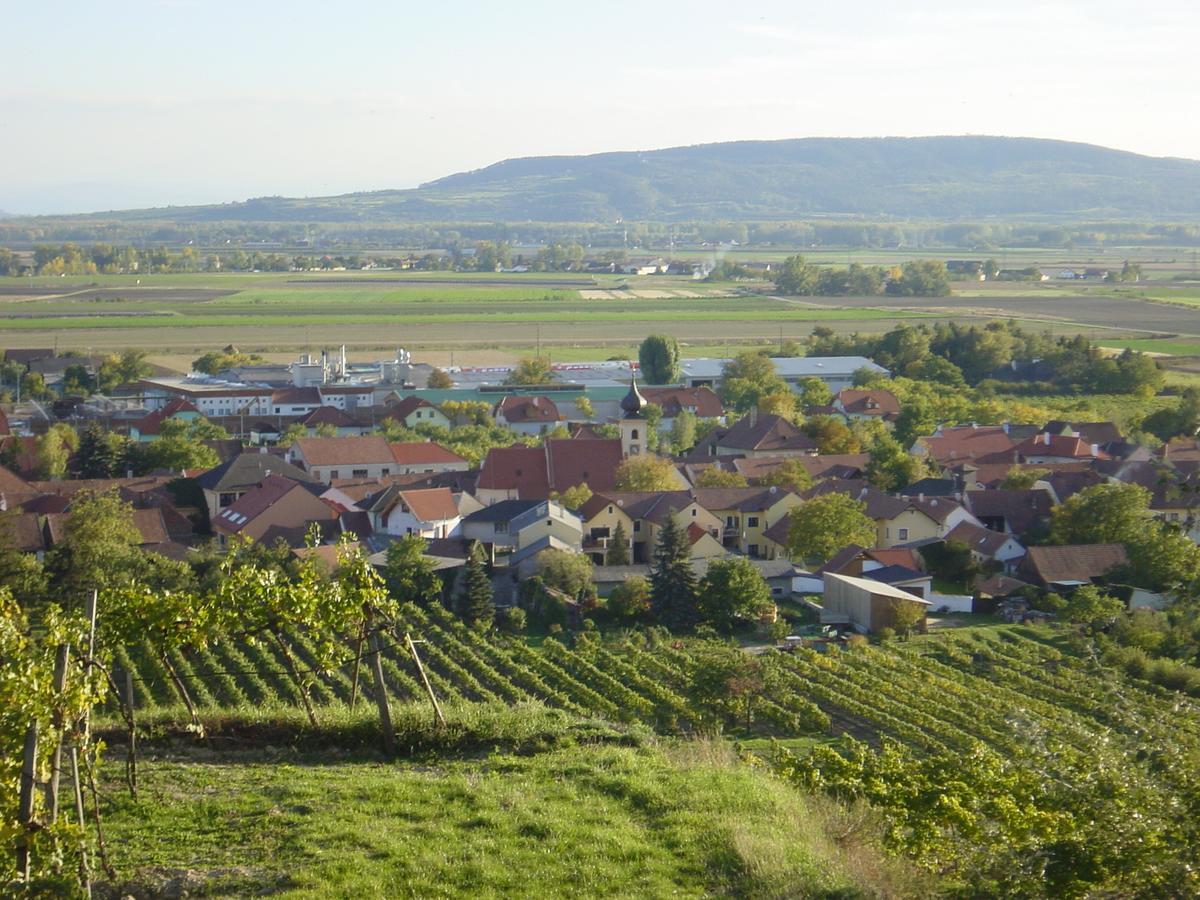 Weingut Und Gaestehaus Berger Gedersdorf Exteriér fotografie